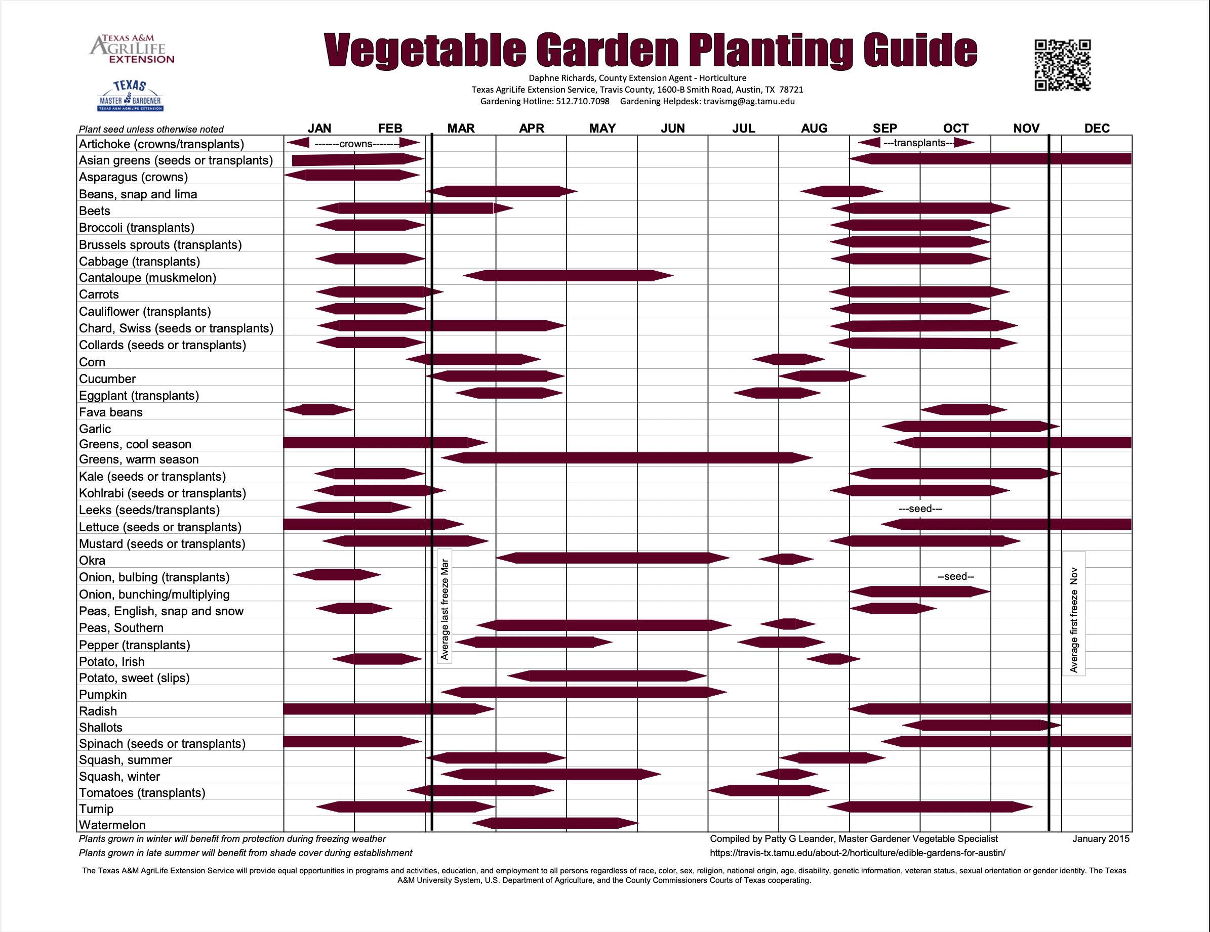 Late August Planting for a Fall Harvest in Central Texas