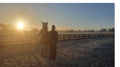 A special moment between horse and person