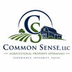 Common Sense Appraisals, LLC