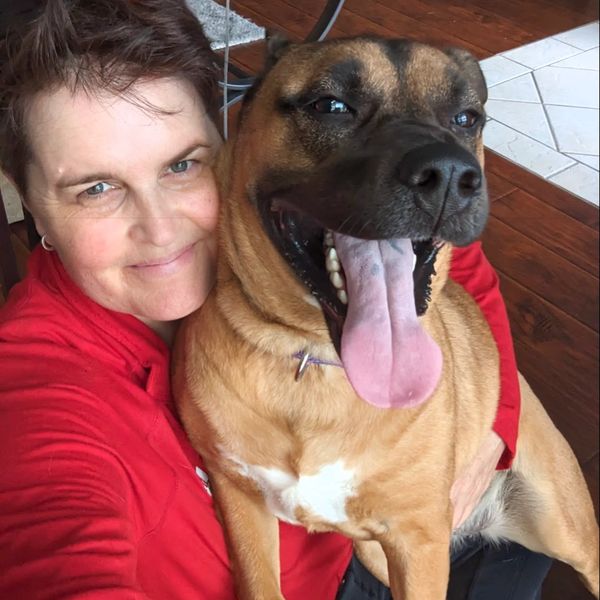 Pet sitter Indianapolis big dog pet sitting dog walker dog walking meridian nora broad ripple