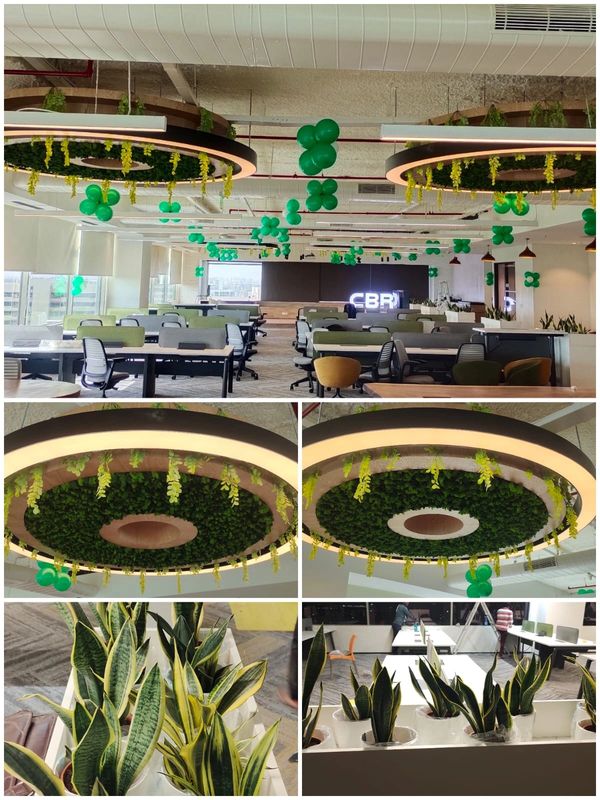 Modern office workspace decorated with green balloons,lush plants and artificial plants.