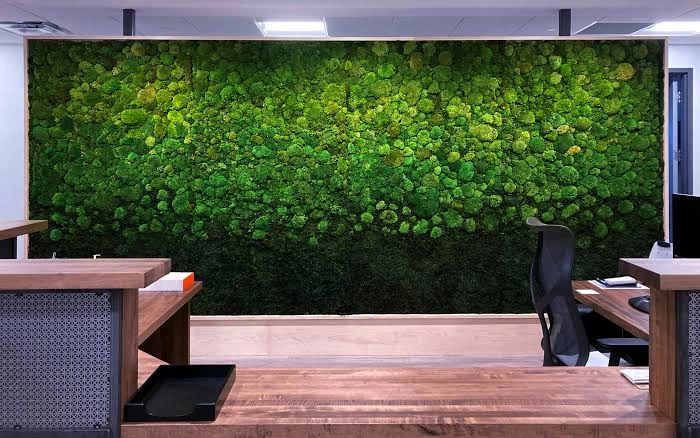 Modern office with a large green moss wall and wooden desks.