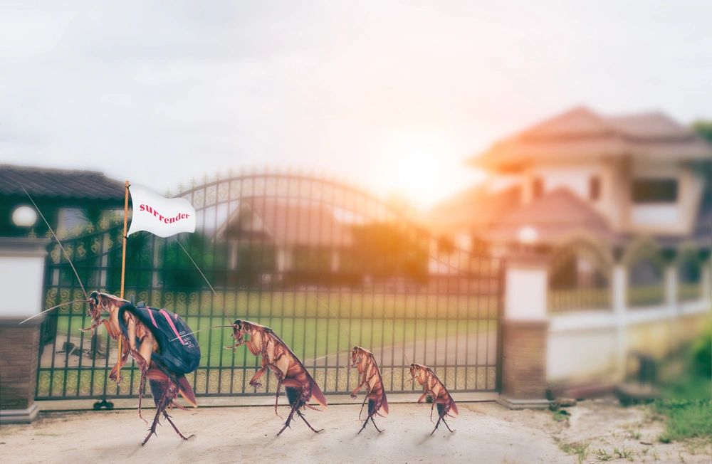 Pest Control Service Twin Falls ID Eco Pro Pest Management