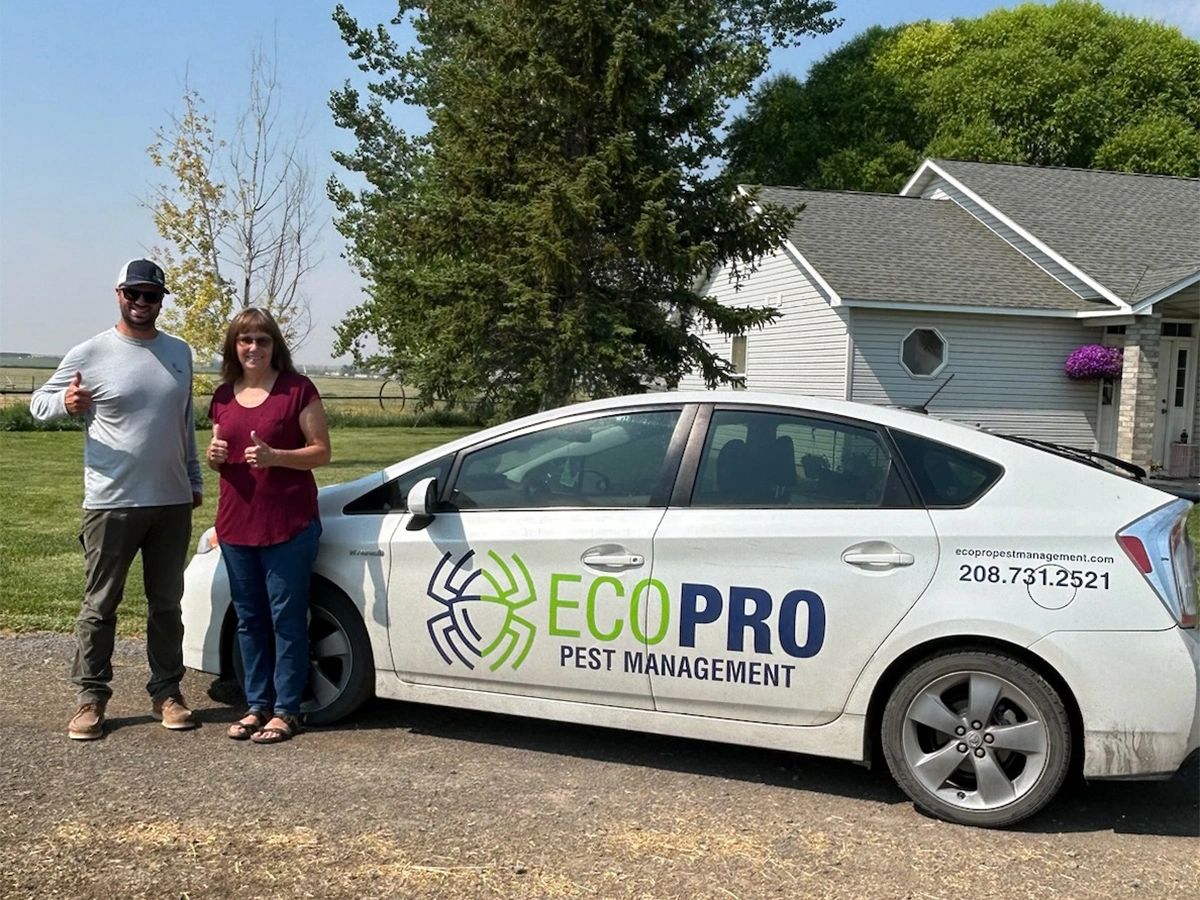 Why Spring is Prime Time for Pest Activity in Twin Falls