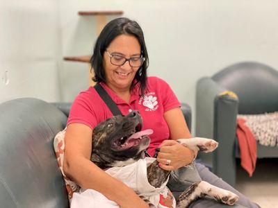 A woman happily cuddles a joyful dog on a couch.