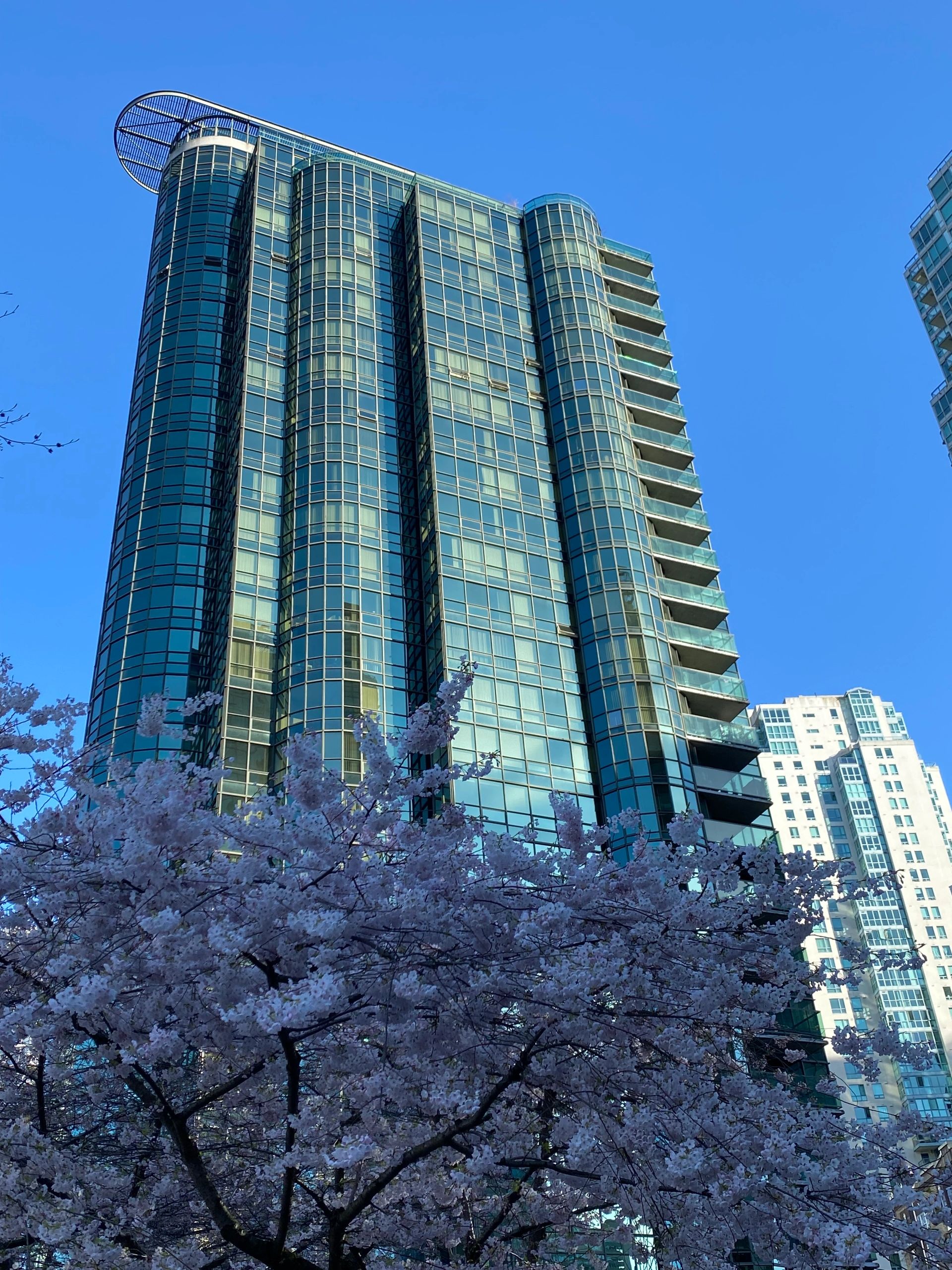 Proactive Building Maintenance Ltd