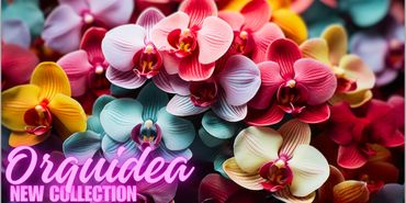 Colección de moda bohemia inspirada en una imagen de orquídeas de colores. 