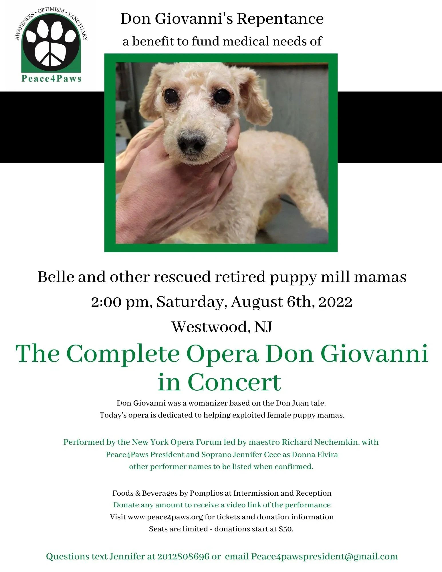 Peace4Paws - Dog Adoption, Rescue Dogs, Beagle Puppy