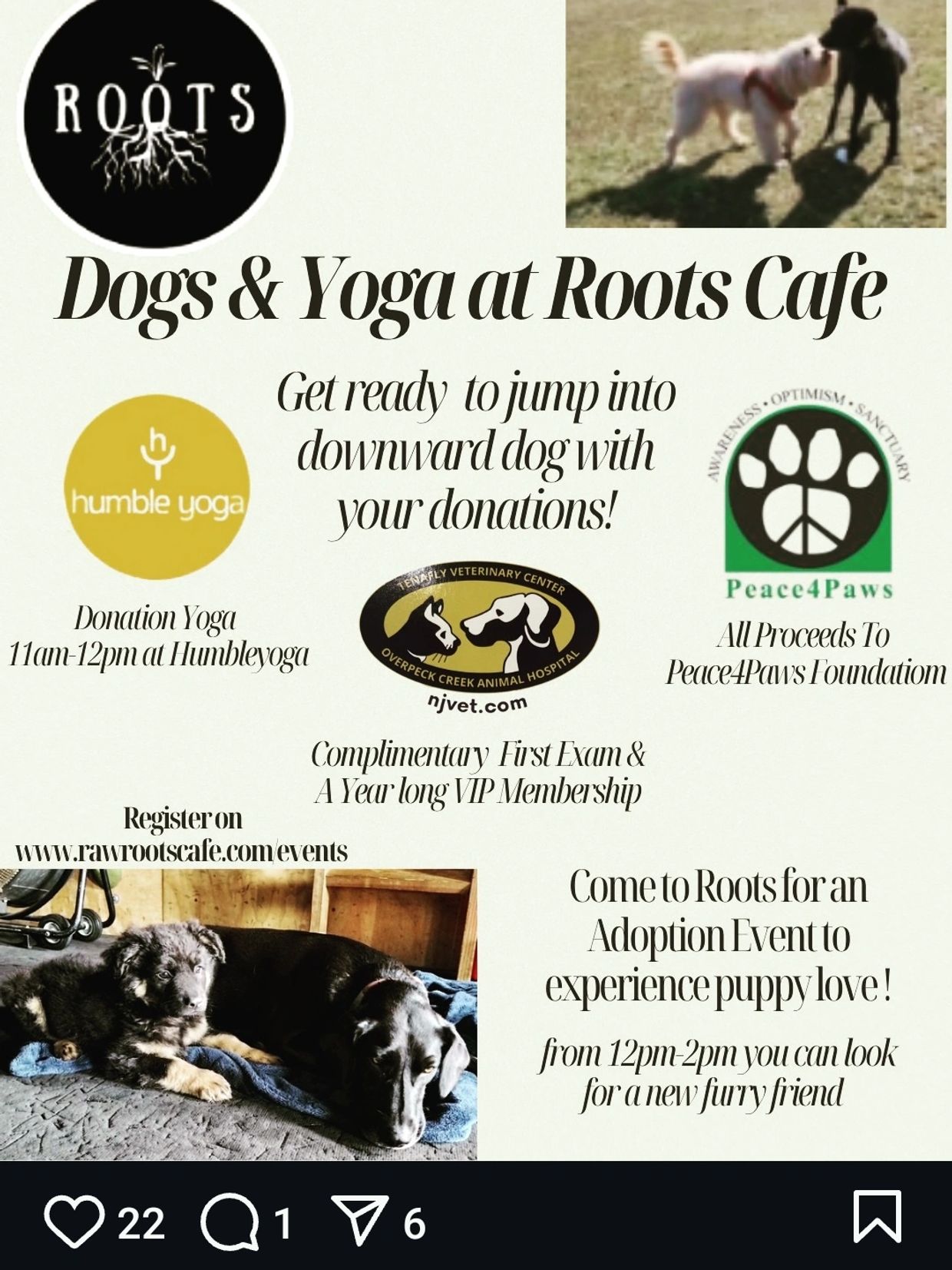 Why Adopt a Dog: Transform Your Life Today