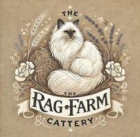 The Rag Farm Cattery