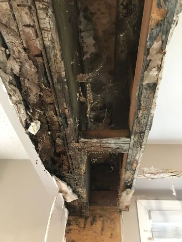 Fully Rotten structural beam , replaced with new 30' microlam beam.