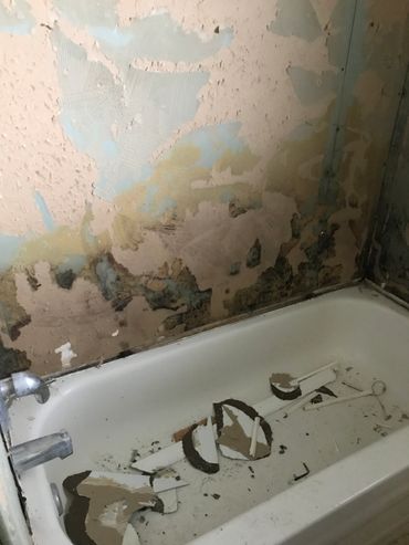 A bathtub removal due to mould and stench.