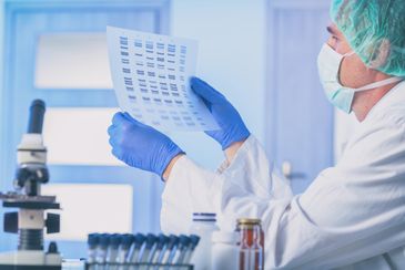 ALPHA DNA LABS LLC