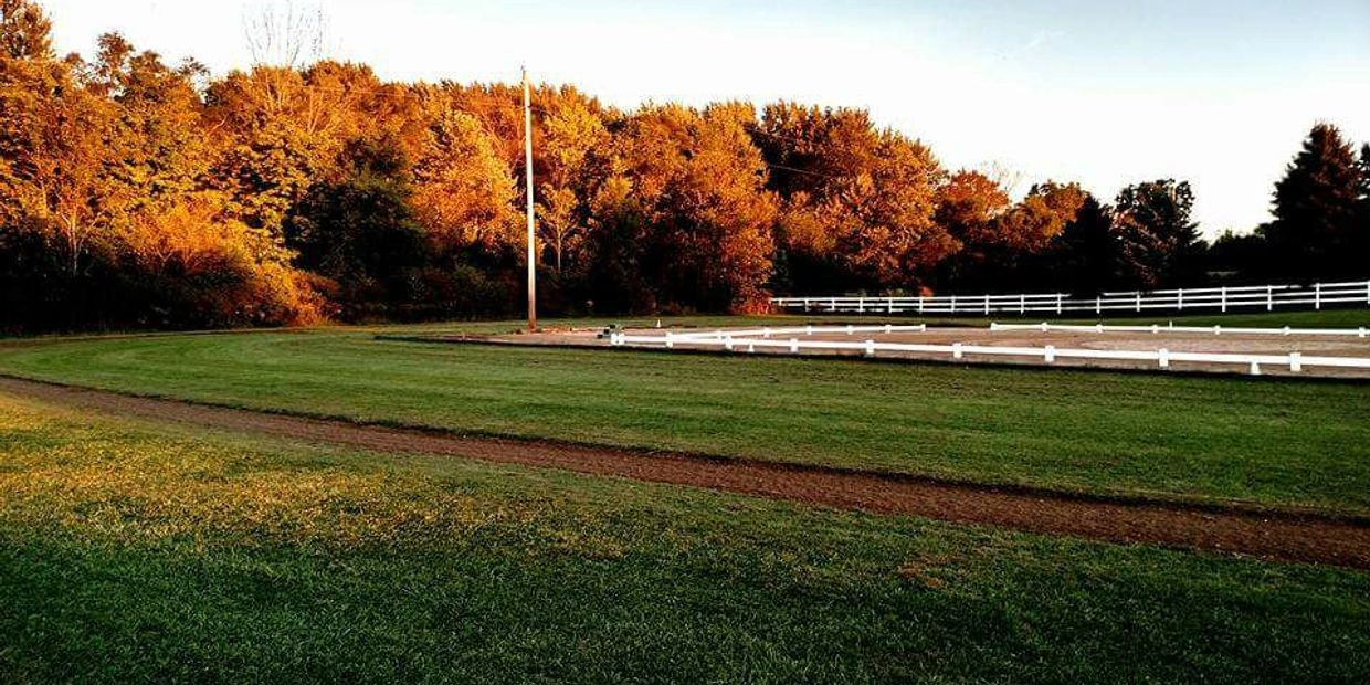 A serene grassy field with autumn-colored trees and a white fence.