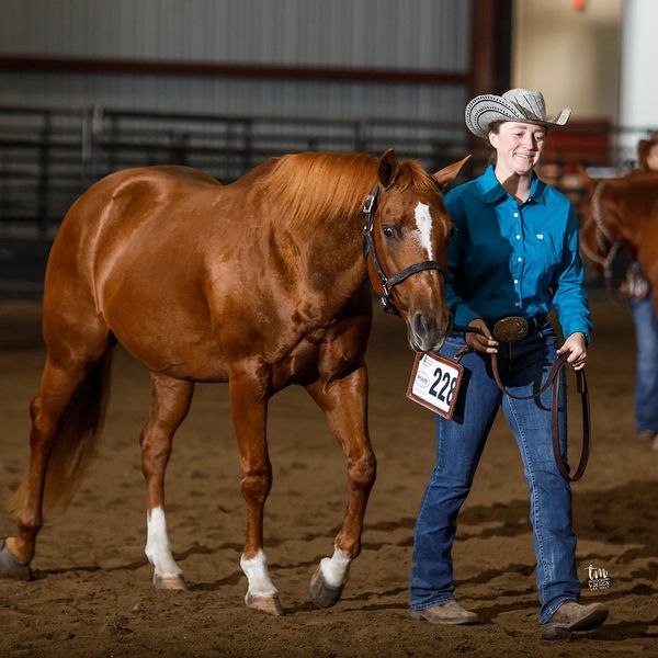 Horse training, Ranch Riding, Reining, AQHA, Western Riding, Horseback riding lessons, show horses