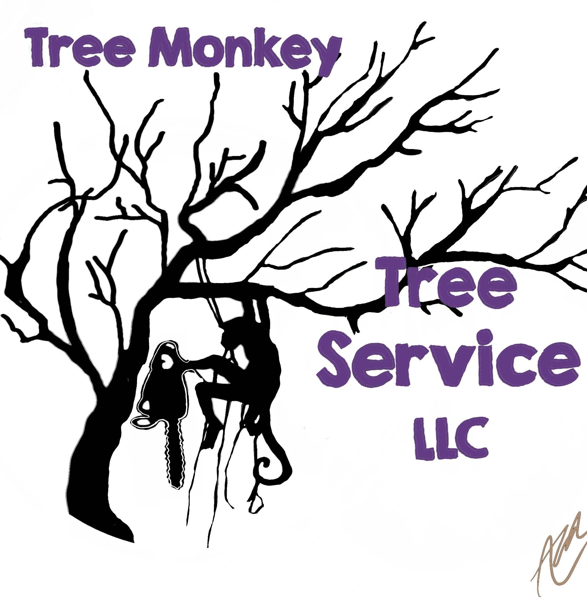 Tree Monkey Tree Service LLC