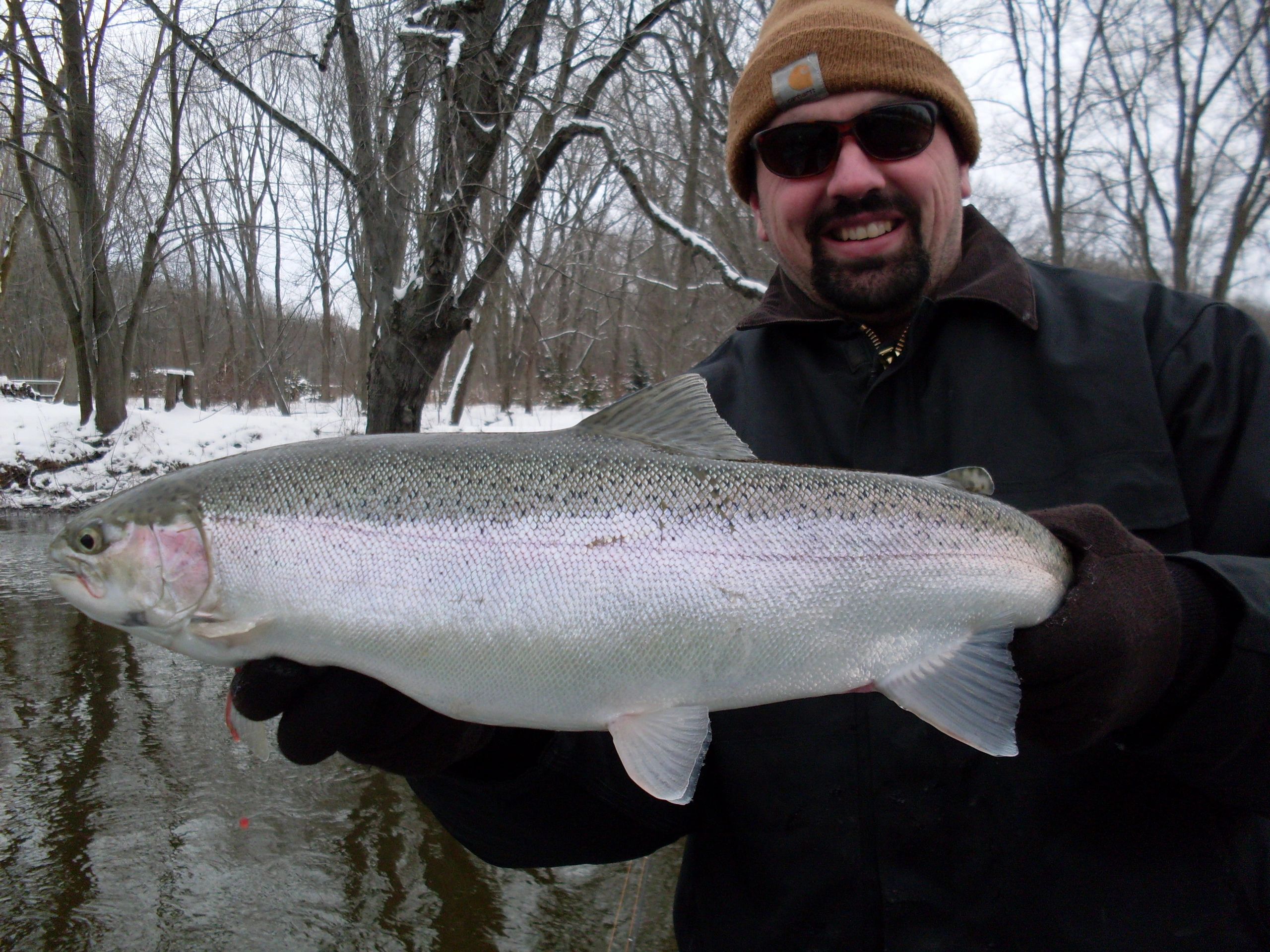 Muskegon River guide Kris McHugh with a Muskegon River Steelhead