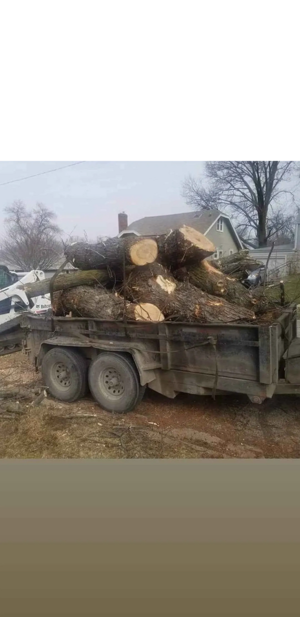 Tree Removal