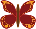 Elena's Designs
