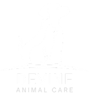 Devine Animal Care