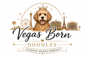 Welcome to
 Vegas Born Doodles