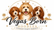 Welcome to
 Vegas Born Doodles