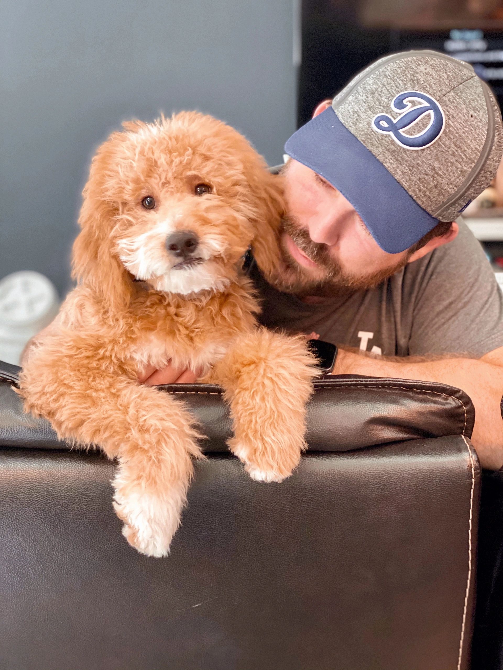 cr=t:0%25,l:0%25,w:100%25,h:100%25