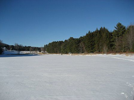 4.Conifer_lake_4.jpg