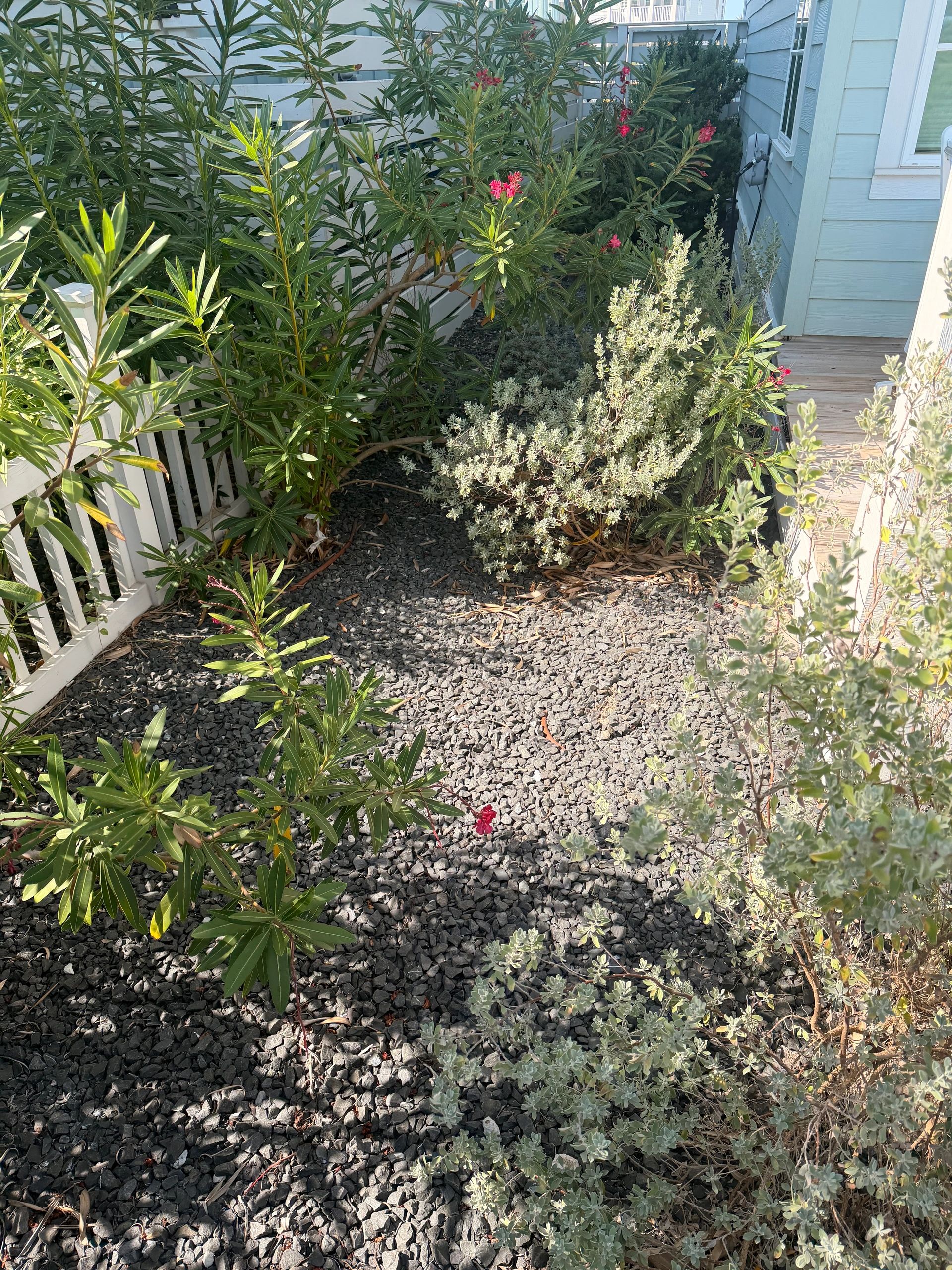 Images of Landscape we've done