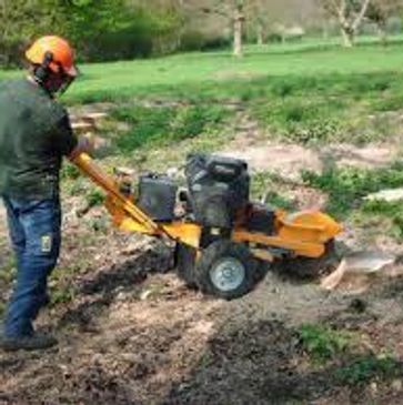 Stump Brothers of MN grinding stump 