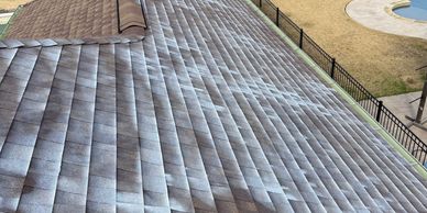 Bird droppings stained on a gray shingle roof.
