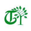 Green Tree
