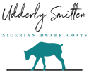 Udderly Smitten
Nigerian Dwarf Goats