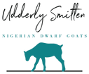 Udderly Smitten
Nigerian Dwarf Goats
