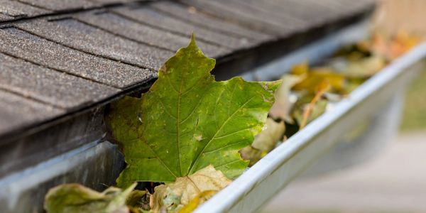 Gutter full of leaves and debris