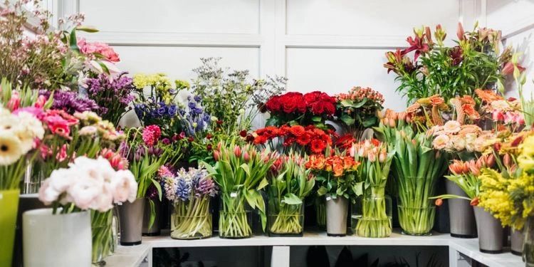 ARRANGEMENT