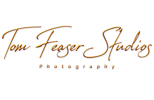 Tom Feaser Studios