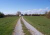 My Grandparents' Farm where I grew up in Floyd Knobs, Indiana