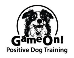 Game On! Positive Dog Training