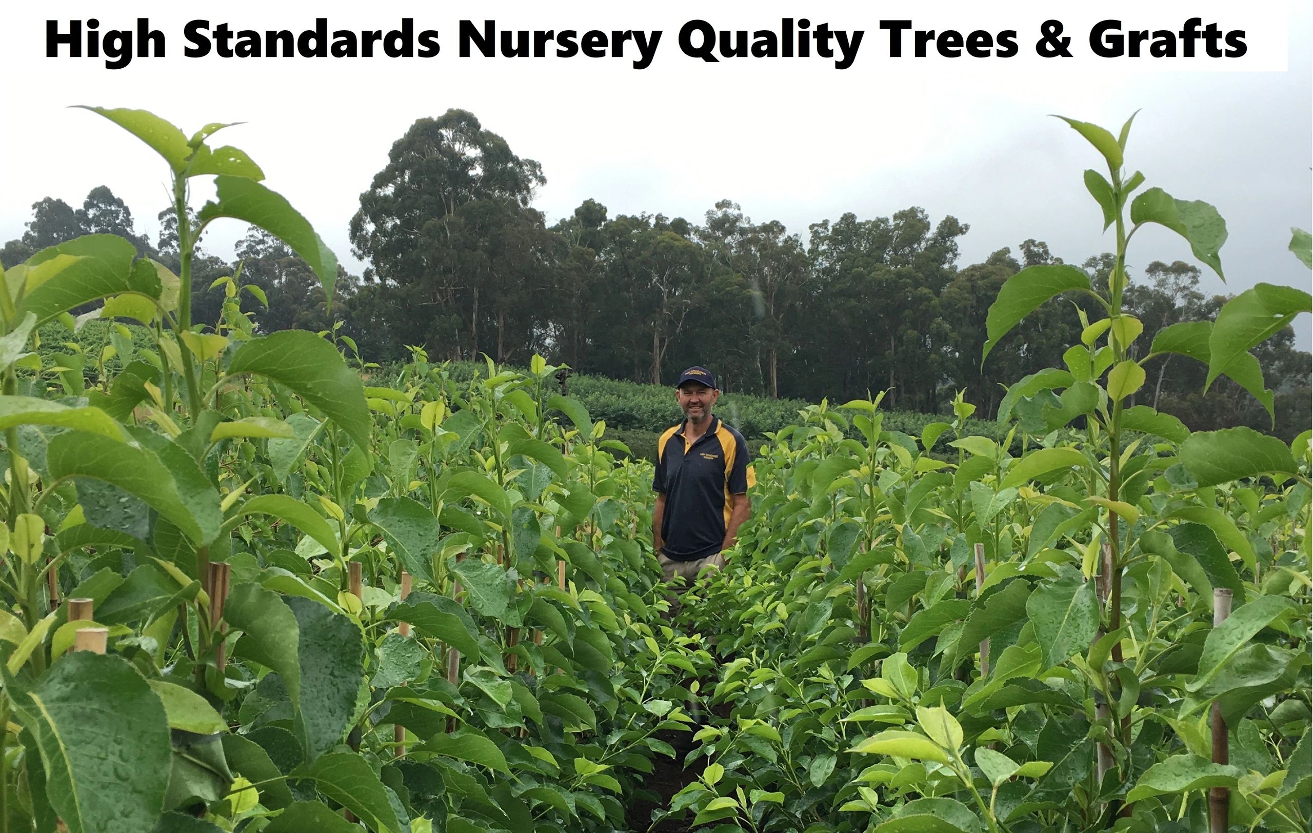 Range High Standards Nursery High Standards Nursery