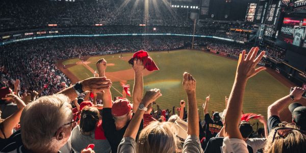 Fans cheer enthusiastically at a bright, sunny baseball stadium.