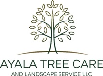 Ayala Tree Care and Landscape Service, LLC