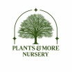 Plants & More Nursery