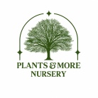 Plants & More Nursery