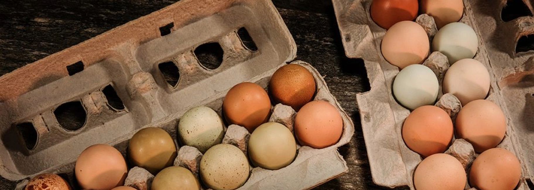 Free Range Chicken Eggs LaLa Farm