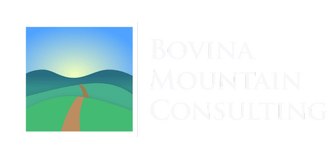 Bovina Mountain Consulting LLC