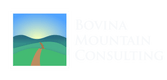 Bovina Mountain Consulting LLC