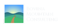 Bovina Mountain Consulting LLC