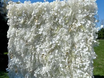 Ivory white flower wall