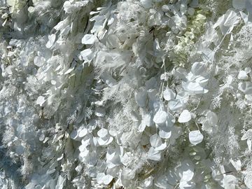 Ivory white flower wall